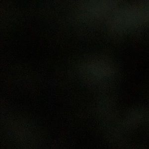 Meet your Posher, Ava